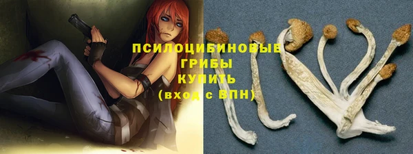 трава Елизово