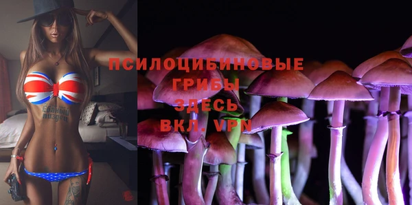 MESCALINE Ельня