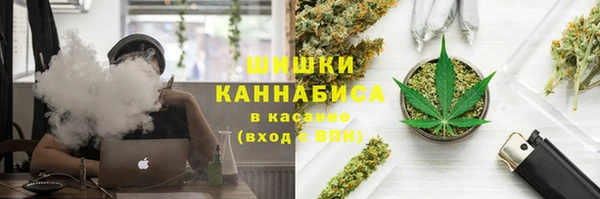 трава Елизово