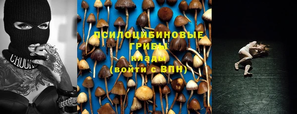 MESCALINE Ельня