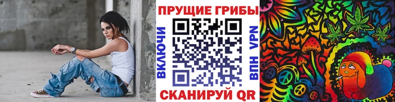Купить закладки  Катайск  Псилоцибиновые грибы прущие грибы 