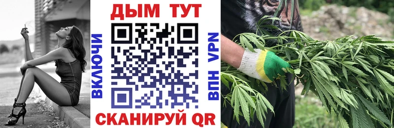 Купить  Катайск  Каннабис MAZAR 